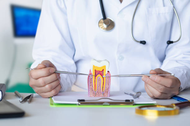 Best Emergency Dental Care for Abscessed Tooth in Shell Point, SC